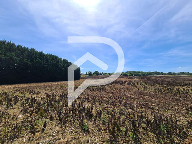 Terrain à bâtir proche Orthez 1652 m² — photo du bien