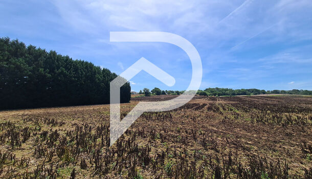 Terrain  à vendre Orthez 64300