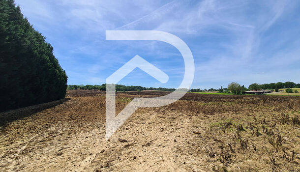 Terrain  à vendre Orthez 64300