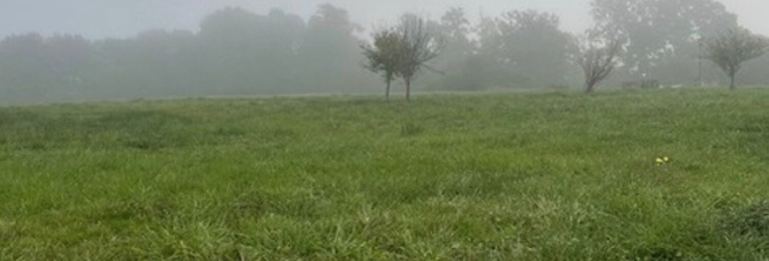 Terrain  450 m² à vendre à Aire-sur-l'Adour (40800)