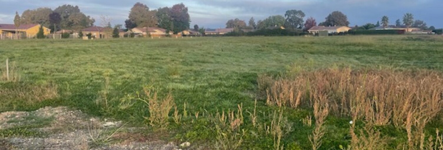 Terrain  1167 m² à vendre à Saint-Sever (40500)