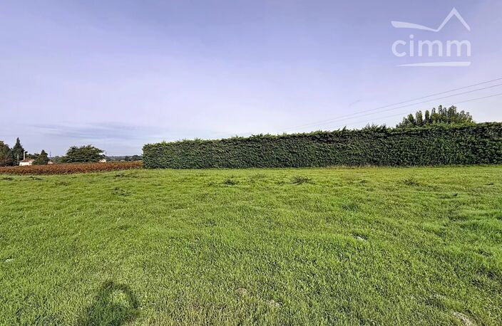 Terrain de 2500 m² — photo 3