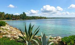 Appartement 2 Pièces 45 m² à vendre à Sainte-Anne (97180)