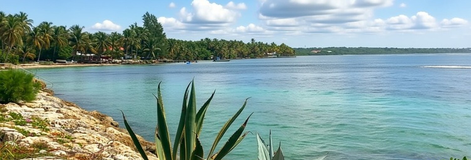 Appartement 2 Pièces 45 m² à vendre à Sainte-Anne (97180)