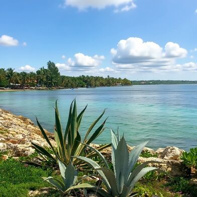 Appartement 2 pièces 242000 €