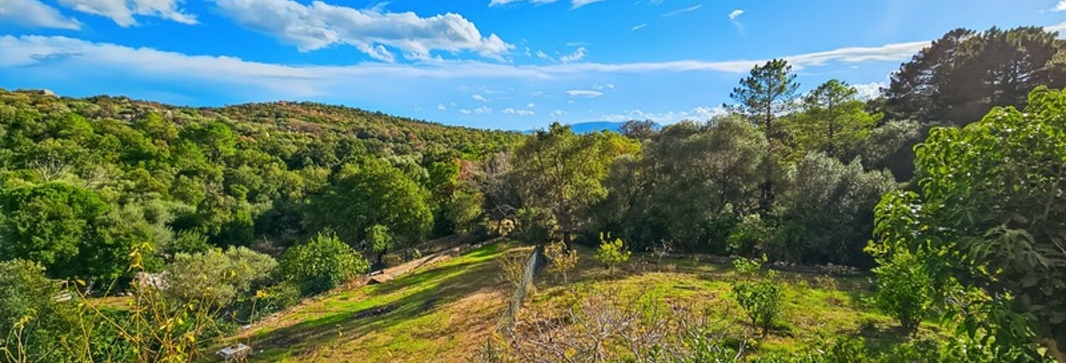 Maison 11 Pièces 299 m² à vendre à Lecci (20137)