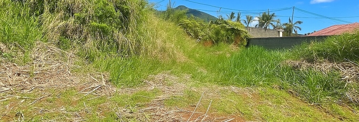 Terrain  610 m² à vendre à Saint-Louis (97421)