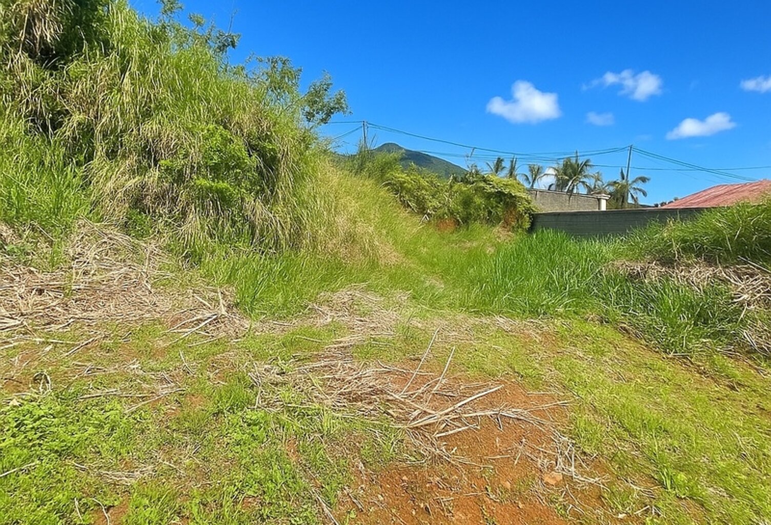 📍 Terrain plat constructible – 610 m² – Les Makes (97421) — photo 1