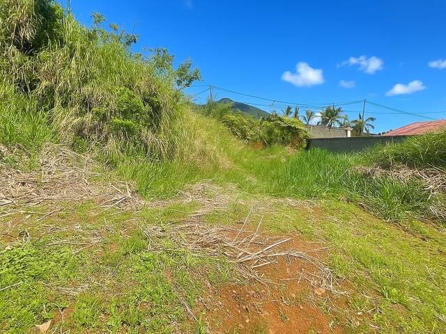 📍 Terrain plat constructible – 610 m² – Les Makes (97421) — photo du bien