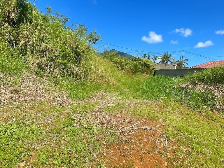 📍 Terrain plat constructible – 610 m² – Les Makes (97421) — photo 1