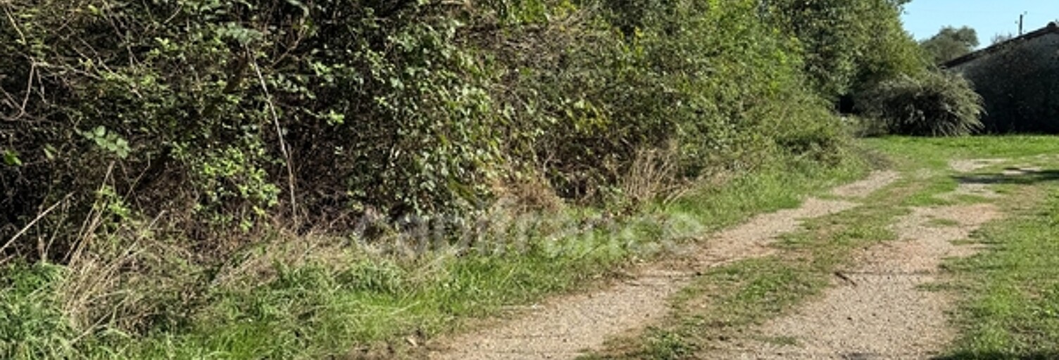 Terrain  580 m² à vendre à Bérat (31370)