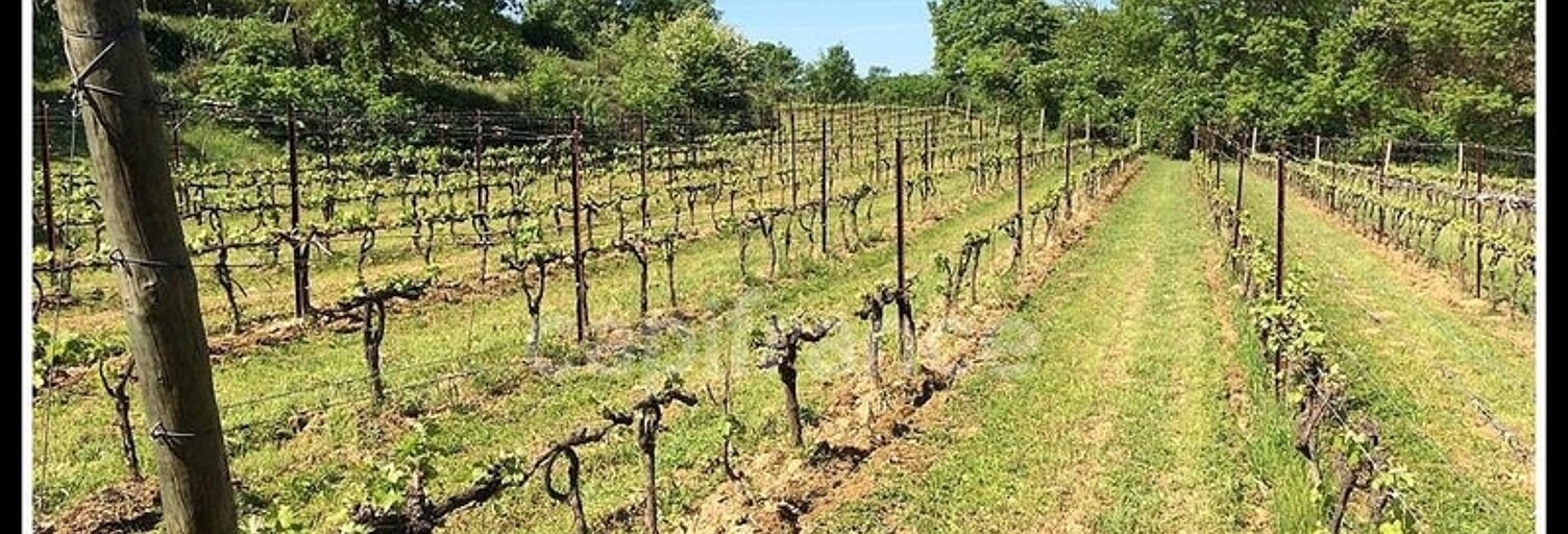 Terrain  24630 m² à vendre à Alignan-du-Vent (34290)