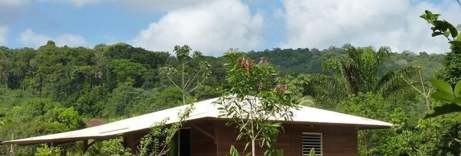 Maison 3 Pièces 96 m² à vendre à Roura (97311)