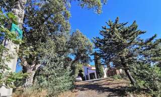 Maison 4 Pièces 91 m² à louer à Montesquieu-des-Albères (66740)