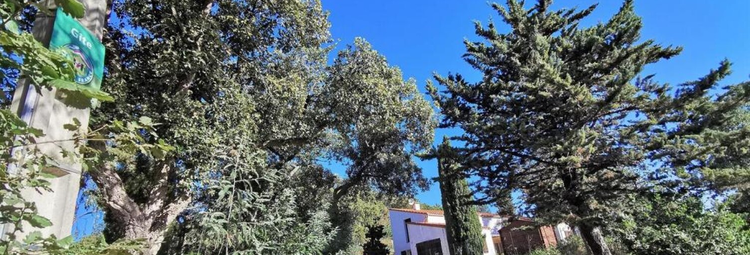 Maison 4 Pièces 91 m² à louer à Montesquieu-des-Albères (66740)