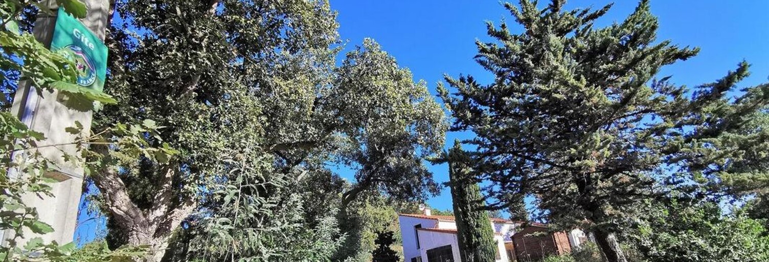 Maison 4 Pièces 91 m² à louer à Montesquieu-des-Albères (66740)