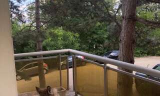 Appartement 2 Pièces 48 m² à louer à Saint-Étienne (42000)