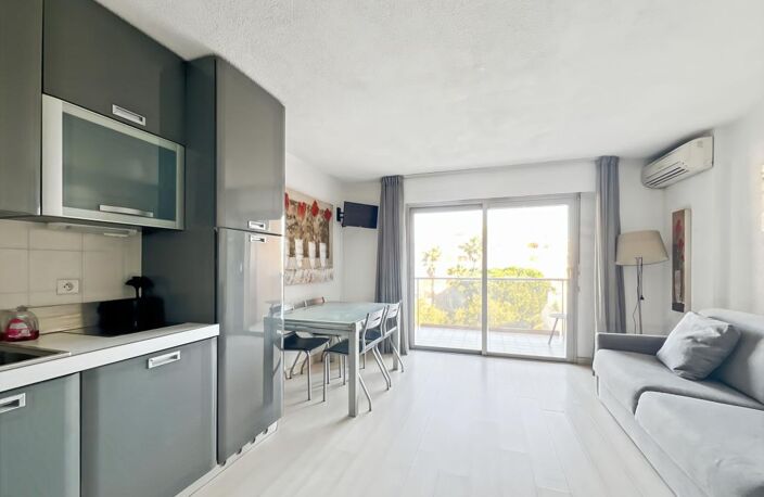 T1 26M² BALCON LE CAPITOLE — photo 2