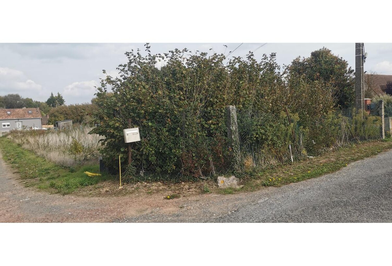 Terrain — photo 1