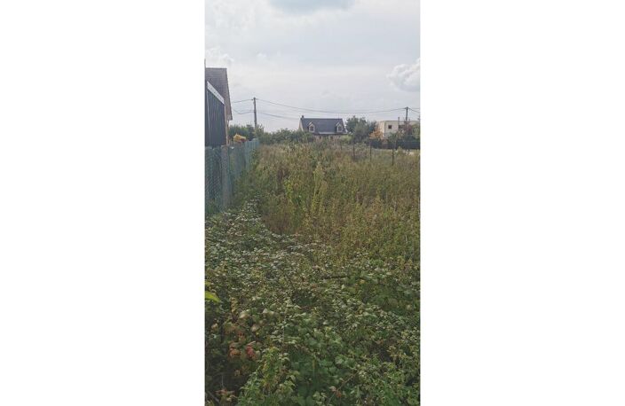 Terrain — photo 2