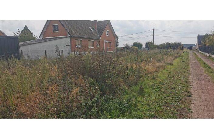Terrain — photo 3