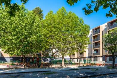 Appartement 2 pièces 427 €
