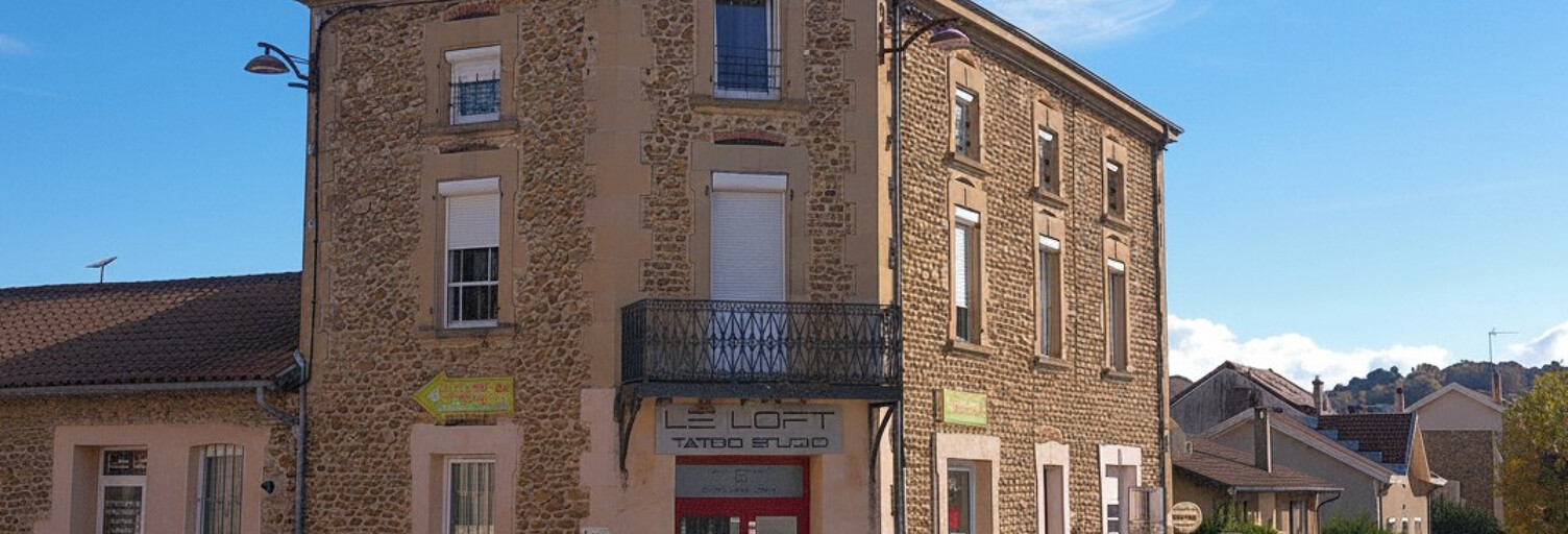 Immeuble  358 m² à vendre à Châteauneuf-de-Galaure (26330)