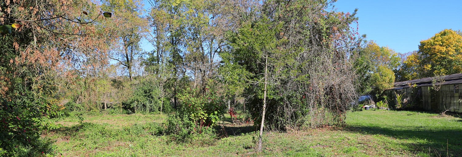 Terrain  5614 m² à vendre à Saint-Georges-de-Didonne (17110)