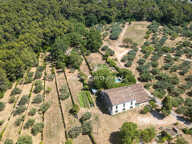 Domaine d'Exception à Draguignan, 8 Hectares de Nature et d'Histoire — photo 4