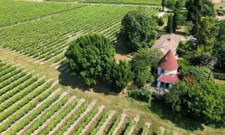 Maison 6 Pièces 190 m² à vendre à Saint-Fort-sur-Gironde (17240)