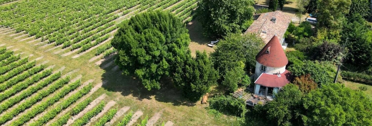 Maison 6 Pièces 190 m² à vendre à Saint-Fort-sur-Gironde (17240)