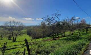 Terrain  3426 m² à vendre à Yssandon (19310)