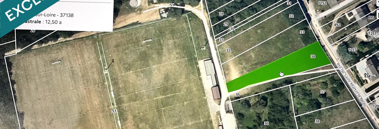 Terrain  1250 m² à vendre à Lussault-sur-Loire (37400)