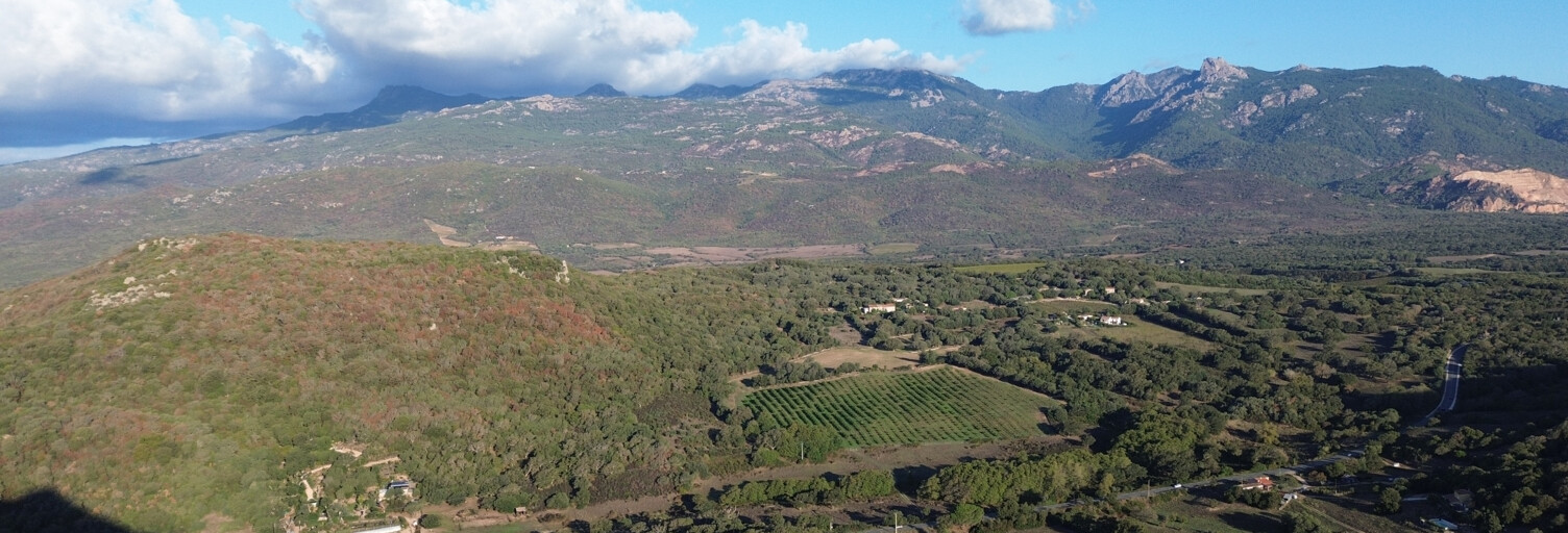 Terrain  8400 m² à vendre à Figari (20114)