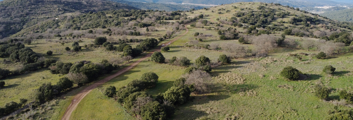 Terrain  1510000 m² à vendre à Clermont-l'Hérault (34800)