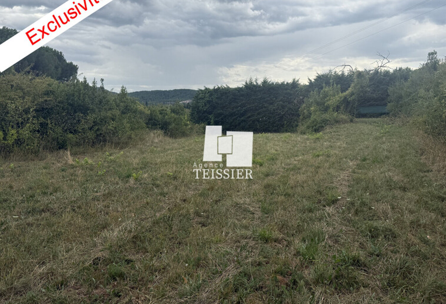 Terrain — photo 1
