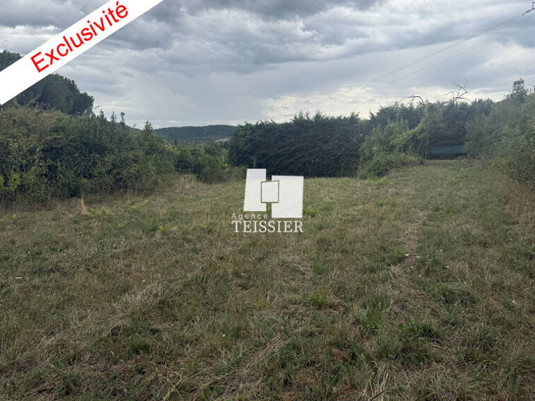 Terrain — photo 1