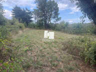 Terrain — photo 3