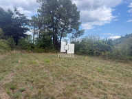 Terrain — photo 4