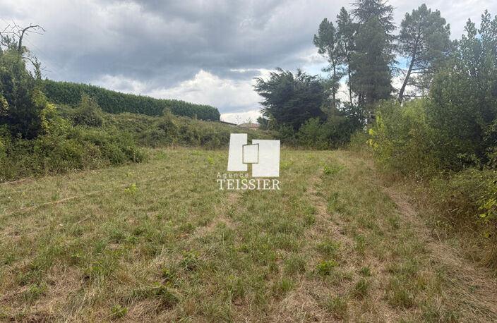 Terrain — photo 5