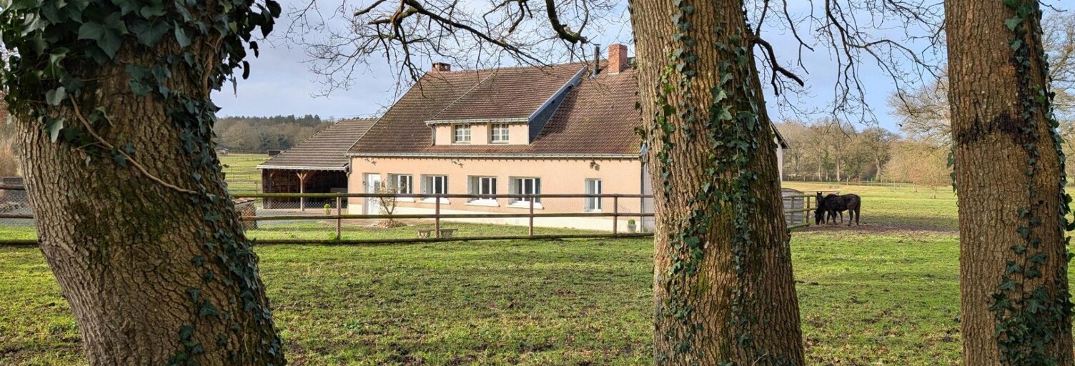 Maison 4 Pièces 147 m² à vendre à Jarzé Villages (49140)