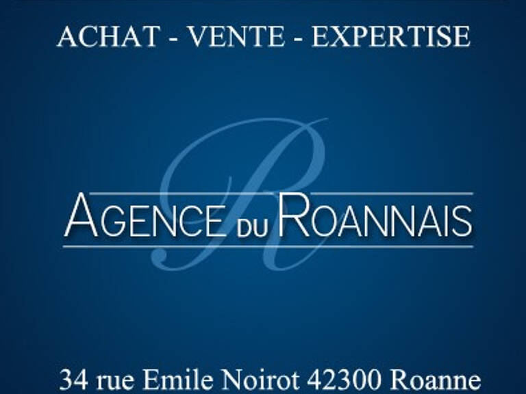 ROANNE, secteur mulsant, appartement loué en triplex avec te — photo 1