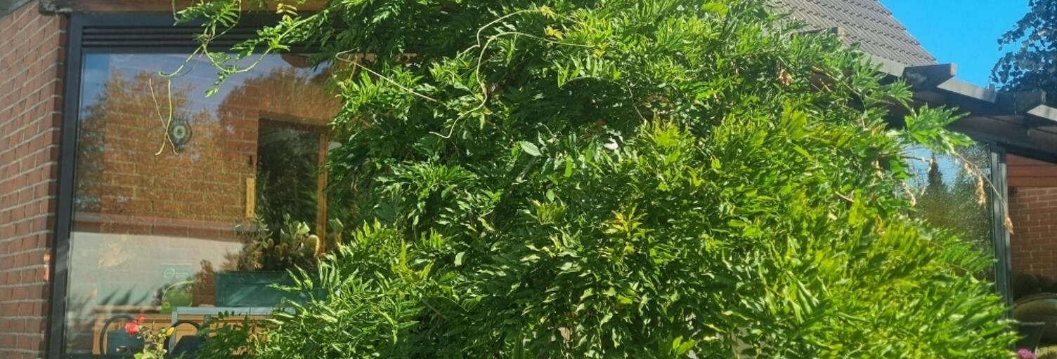 Maison 7 Pièces 140 m² à vendre à Villeneuve-d'Ascq (59650)