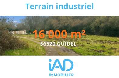 Commerce  559900 €