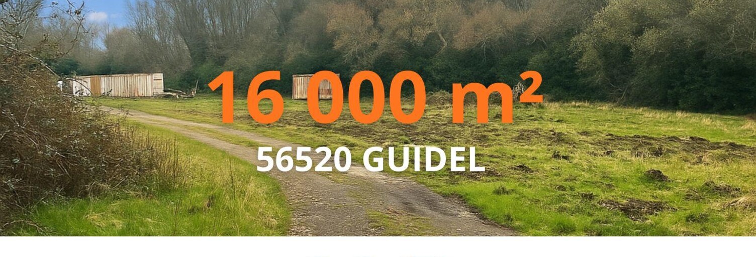 Divers  16000 m² à vendre à Guidel (56520)