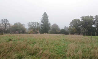 Terrain  2406 m² à vendre à Angeot (90150)