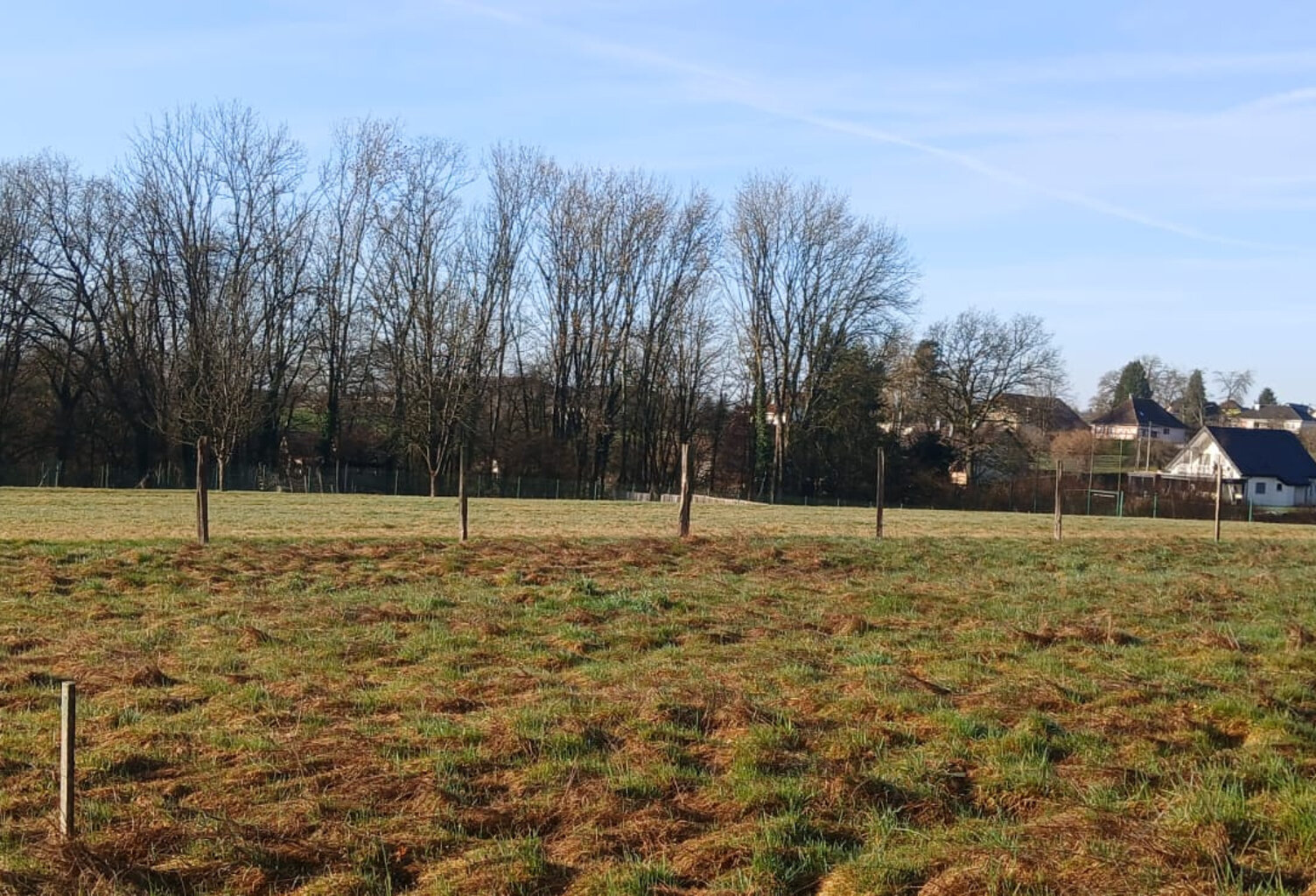 Vente terrain constructible de 2406 m2 ANGEOT — photo 1