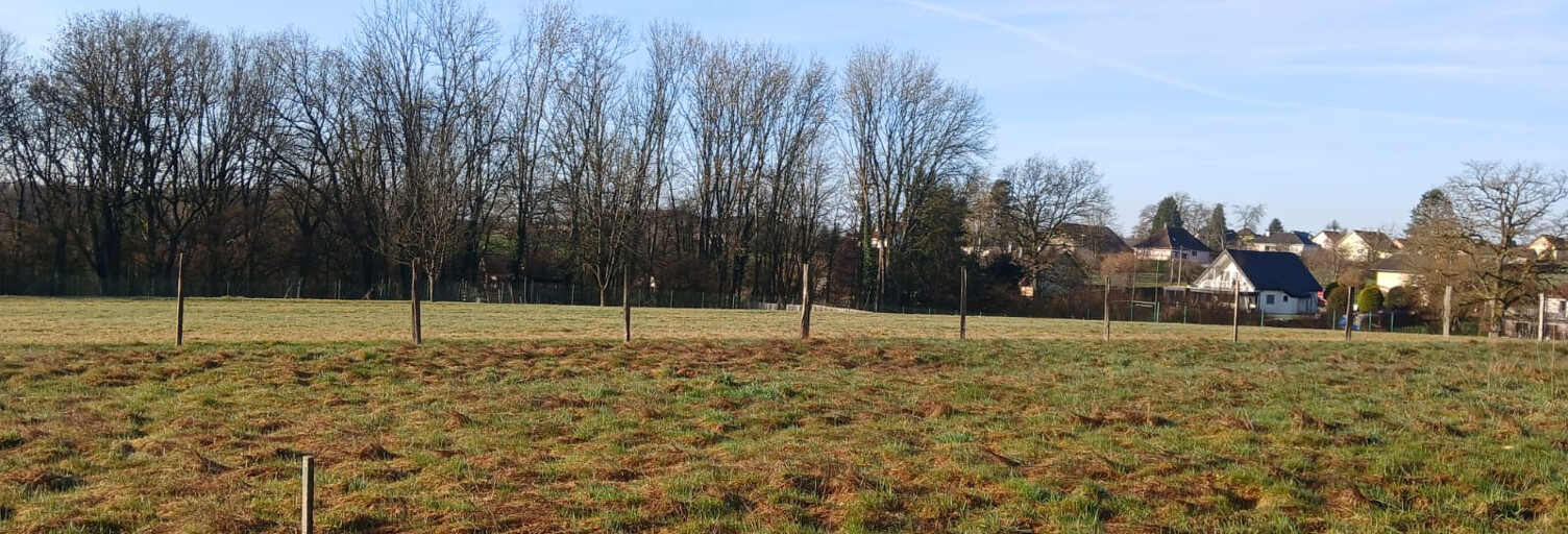 Terrain  2406 m² à vendre à Angeot (90150)