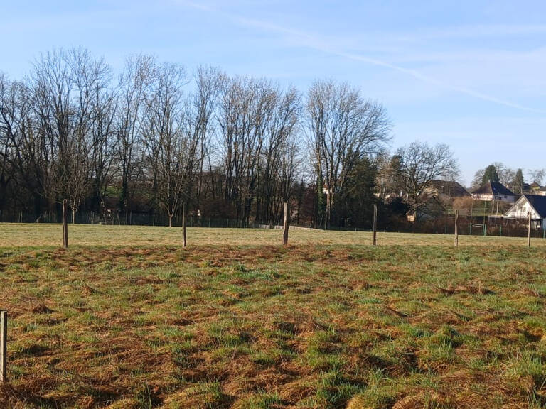 Vente terrain constructible de 2406 m2 ANGEOT — photo 1