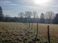 Vente terrain constructible de 2406 m2 ANGEOT — photo 2